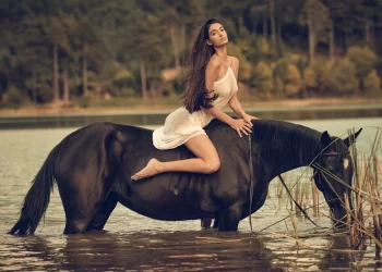 Patsios Horses Patsios Horses