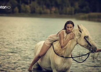 Patsios Horses Patsios Horses