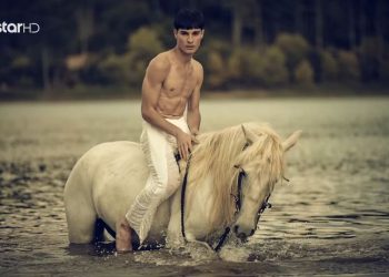 Patsios Horses Patsios Horses