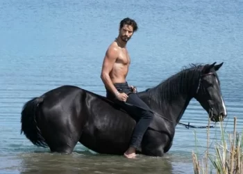 Patsios Horses Patsios Horses