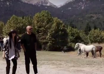 Patsios Horses Patsios Horses