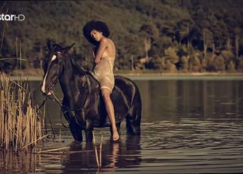 Patsios Horses Patsios Horses