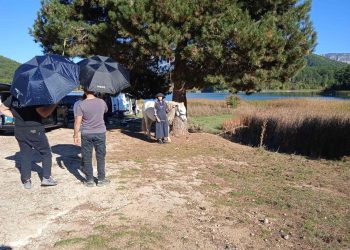 Patsios Horses Patsios Horses