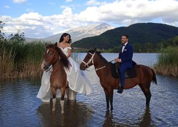 Patsios Horses Patsios Horses