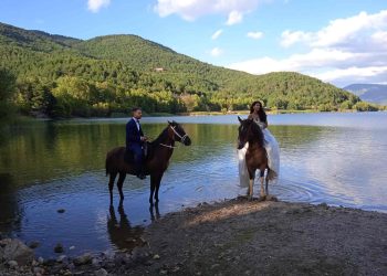 Patsios Horses Patsios Horses